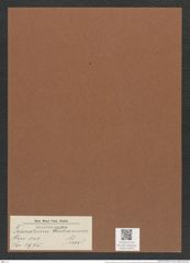 Triceratium westianum Grev. (de-Toni-Nr.: Genus 140, Species 3975) Zeichnungen Sammlung Grunow Mappe 03973 (Herbarium_W_Grunow_drawings_Folder_03973)